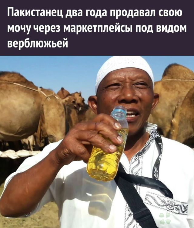 Пакистанец два года продавал свою мочу через маркетплейсы под видом верблюжьей.