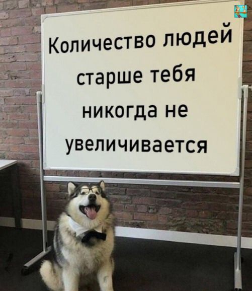Количество людей старше тебя никогда не увеличивается