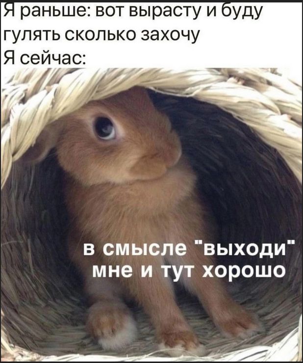 Я раньше: вот вырасту и буду гулять сколько захочу
Я сейчас:
в смысле 