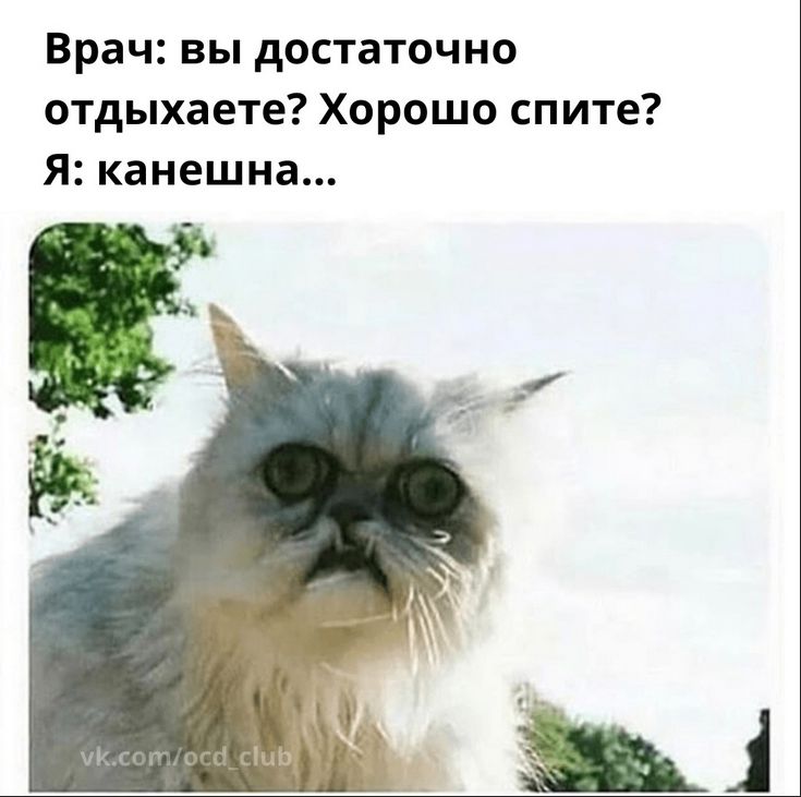 Врач: вы достаточно отдыхаете? Хорошо спите? Я: конечно...