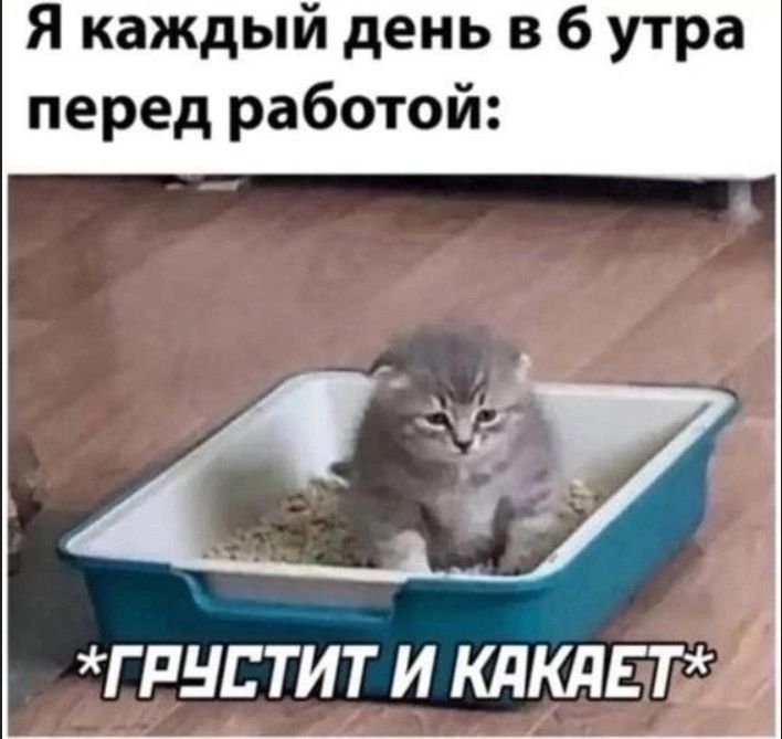 Я каждый день в 6 утра перед работой:
*ГРУСТИТ И КАЧАЕТ*