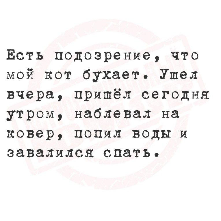 Есть подозрение, что мой кот бухает. Ушел вчера, пришёл сегодня утром, наблевал на ковер, попил воды и завалился спать.