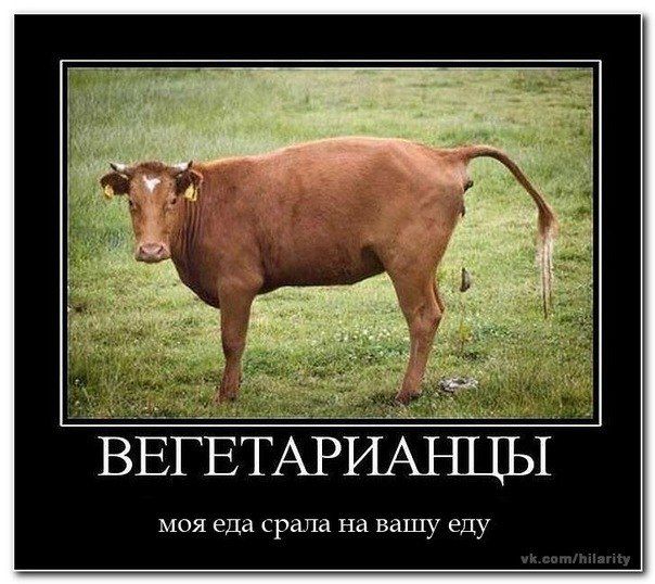 ВЕГЕТАРИАНЦЫ
моя еда ела на вашу еду