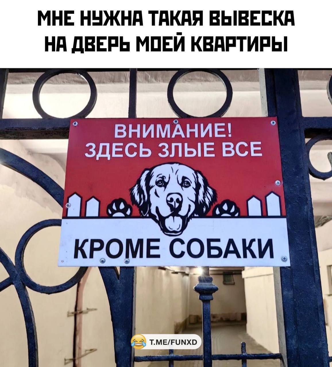 МНЕ НУЖНА ТАКАЯ ВЫВЕСКА НА ДВЕРЬ МОЕЙ КВАРТИРЫ
ВНИМАНИЕ! ЗДЕСЬ ЗЛЫЕ ВСЕ
КРОМЕ СОБАКИ