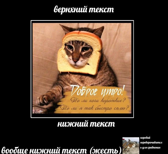 Доброе утро! Ты ли моя корочка? Ты ли мне так быстро сдана?
