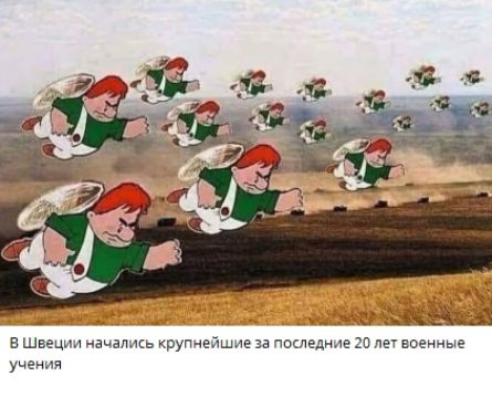 В Швеции начались крупнейшие за последние 20 лет военные учения