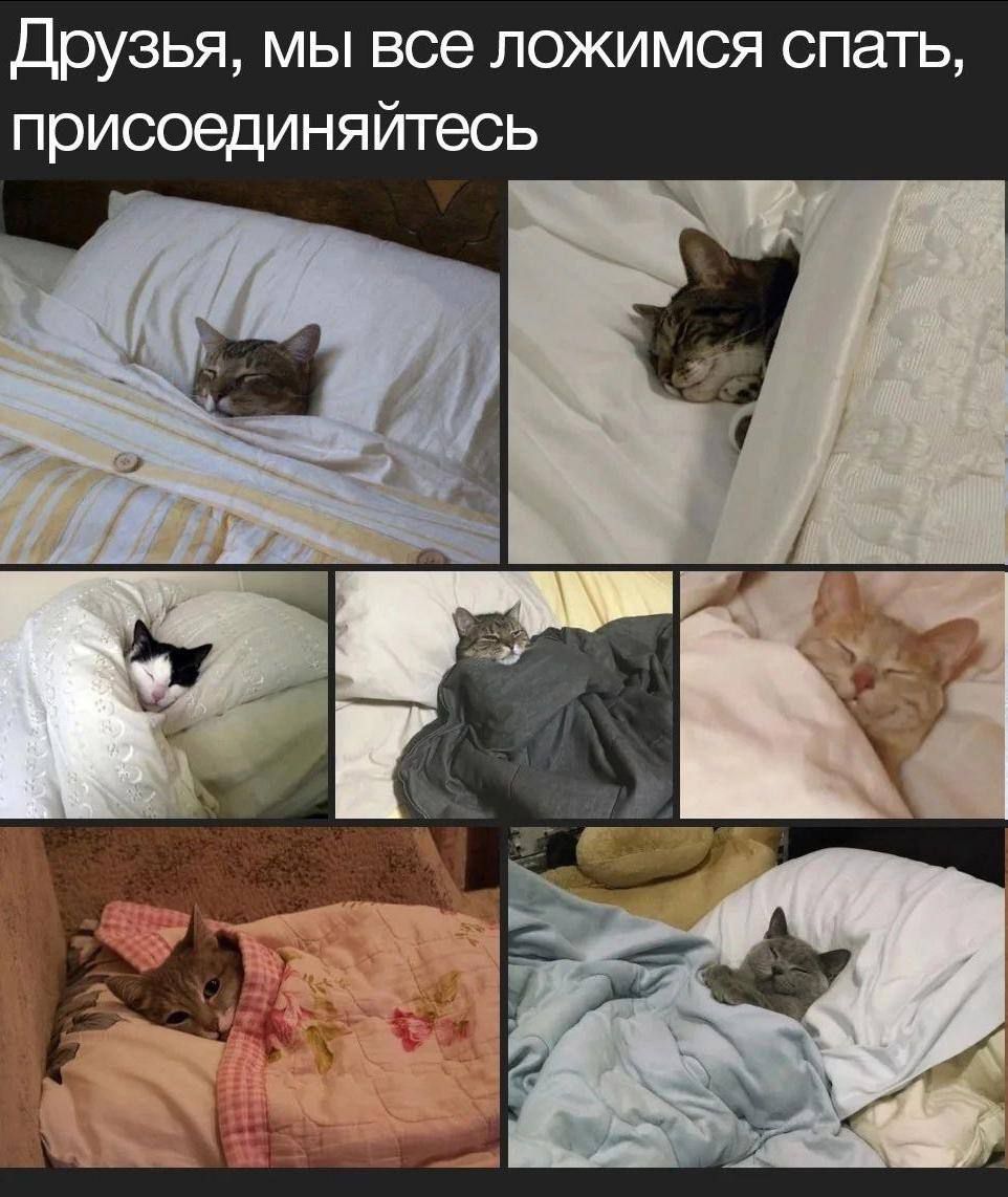 Друзья, мы все ложимся спать, присоединяйтесь