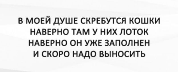 В МОЕЙ ДУШЕ SKREBUTSYA КОШКИ НАВЕРНО ТАМ У НИХ ЛОТОК НАВЕРНО ОН УЖЕ ЗАПОЛНЕН И СКОРО НАДО ВЫНОСИТЬ
