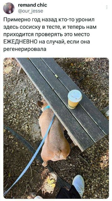 Примерно год назад кто-то уронил здесь сосиску в тесте, и теперь нам приходится проверять это место ЕЖЕДНЕВНО на случай, если она регенерировала.