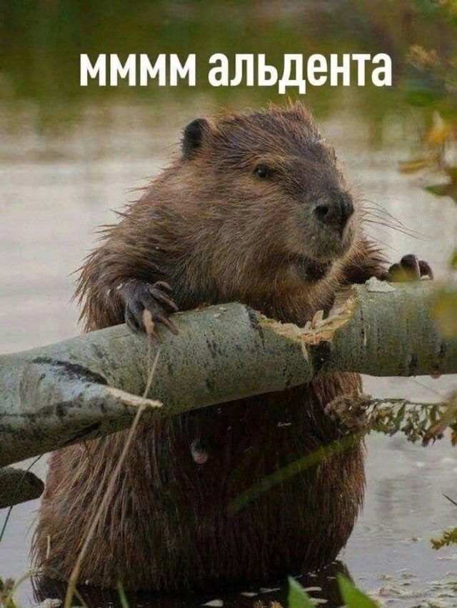 мммм альдента
