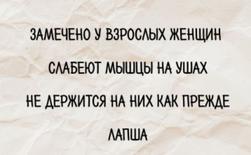 ЗАМЕЧЕНО У ВЗРОСЛЫХ ЖЕНЩИН СЛАБЕЮТ МЫШЦЫ НА УШАХ НЕ ДЕРЖИТСЯ НА НИХ КАК ПРЕЖДЕ ЛАПША