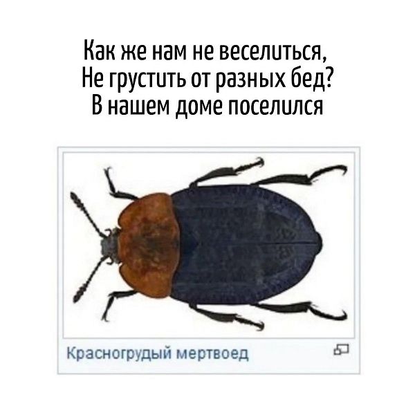 Как же нам не веселиться, Не грустить от разных бед? В нашем доме поселился Красногрудый мертвец.