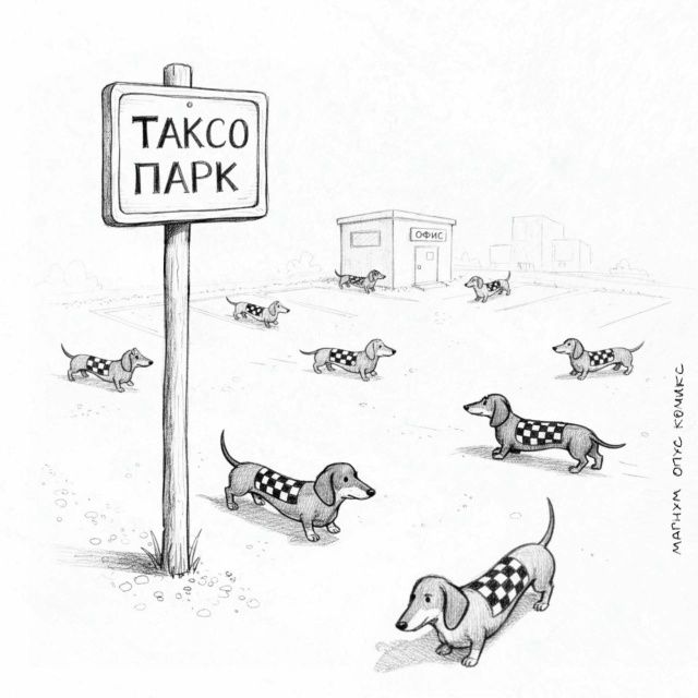 Таксо Парк