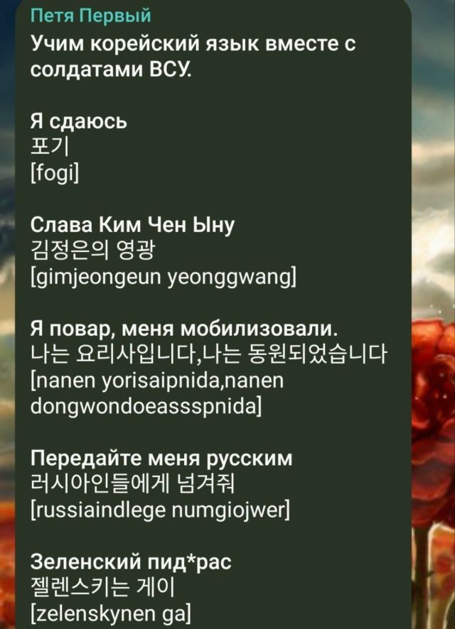Учим корейский язык вместе с солдатами ВСУ.
Я сдаюсь
포기
[fogi]
Слава Kim Чен Ыну
김정은의 영광
[gimjeongeun yeonggwang]
Я повар, меня мобилизовали.
나는 요리사입니다, 나는 동원되었습니다.
[nanen yoris aipida, nanen dongwondeoassspnida]
Передайте меня русским
러시아인들에게 넘겨줘
[russiaindlege numgiojwer]
Зеленский пид*рас
젤렌스키는 개이
[zelenskynen ga]