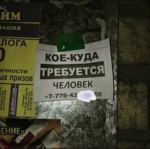 Кое-куда требуется человек
+7-778-42-00