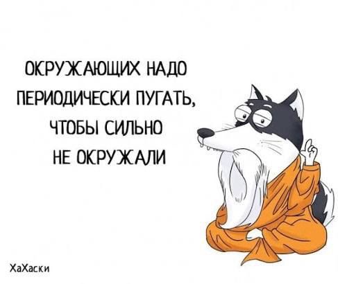Окружающих надо периодически пугать, чтобы сильно не окружали
ХаХаски