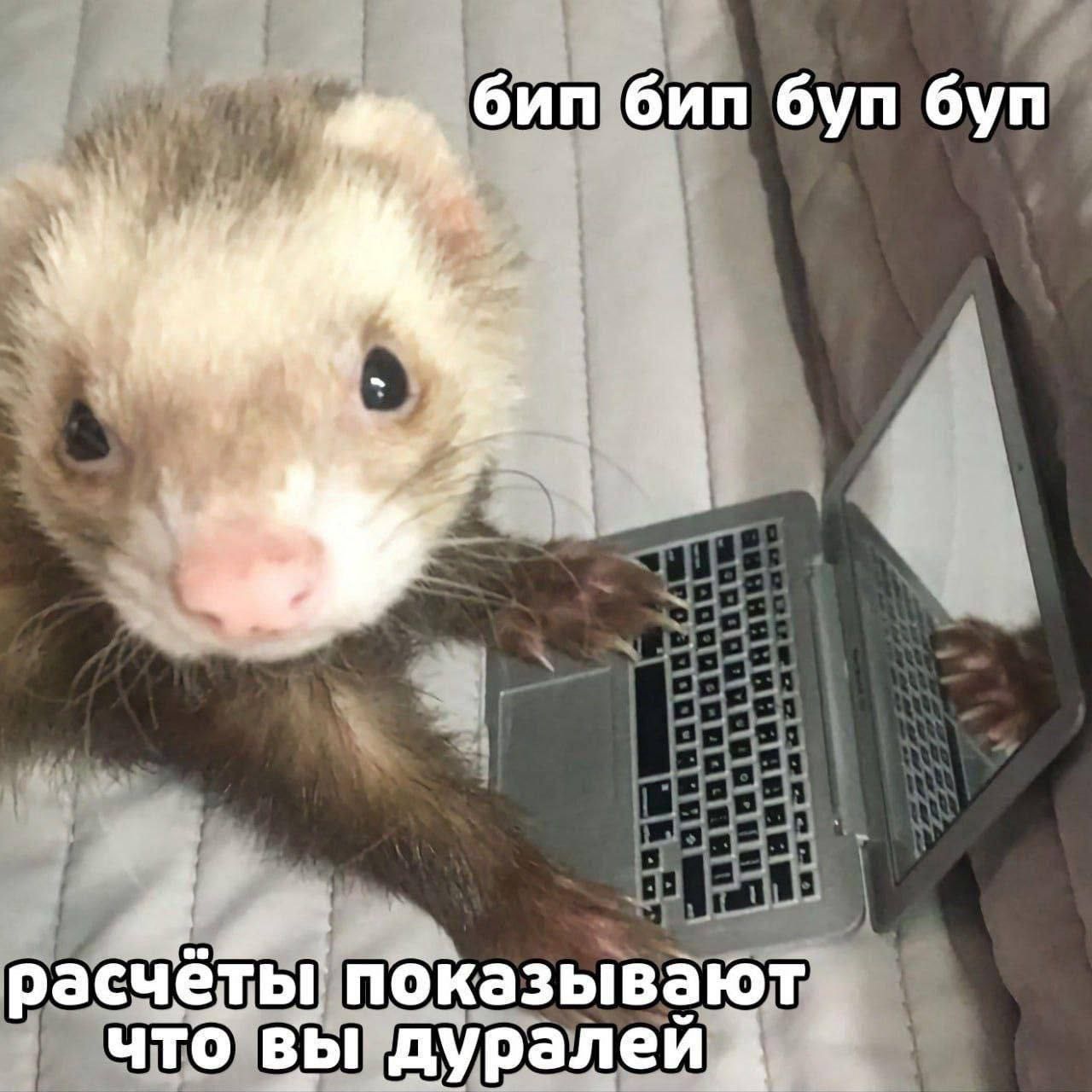 бип бип бул буп
расчёты показывают что вы дуралей