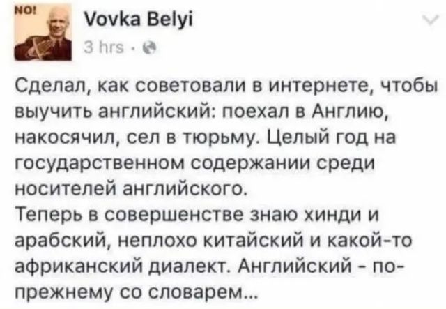 Сделал, как советовали в интернетe, чтобы выучить английский: поехал в Англию, накосячил, сел в тюрьму. Целый год на государственной программе среди носителей английского.
Теперь в совершенстве знаю хинди и арабский, неплохо китайский и какой-то африканский диалект. Английский - по-прежнему со словарем...
