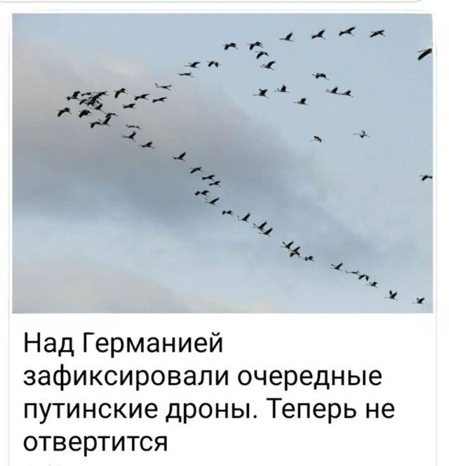 Над Германией зафиксировали очередные путинские дроны. Теперь не отвердится.
