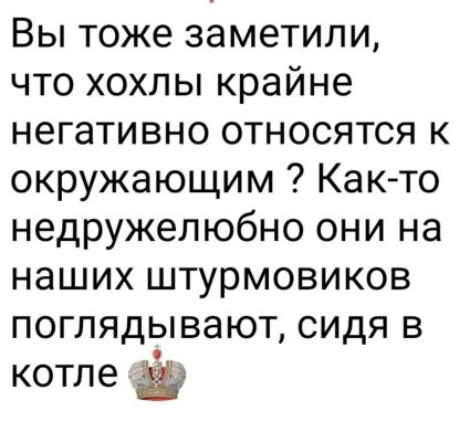 Вы тоже заметили, что хохлы крайне негативно относятся к окружающим ? Как-то недружелюбно они на наших штурмовиков поглядывают, сидя в котле