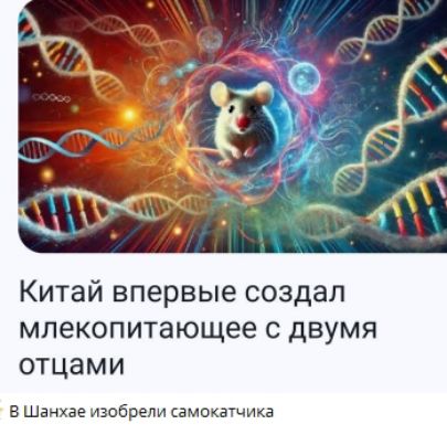 Китай впервые создал млекопитающее с двумя отцами
В Шанхае изобрели самокатчика