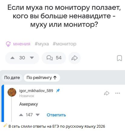 Если муха по монитору ползает, кого вы больше ненавидите - муху или монитор?

Америку

В сеть слили ответы на ЕГЭ по русскому языку 2026