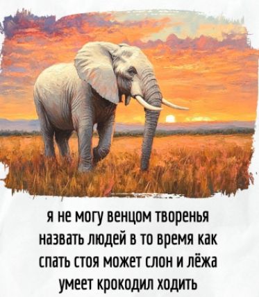 я не могу венцом творенья назвать людей в то время как спать стоя может слон и лёжа умеет крокодил ходить