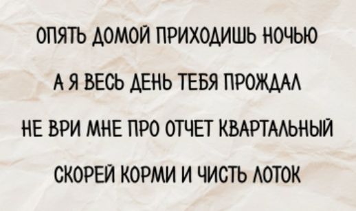 ОПЯТЬ ДОМОЙ ПРИХОДИШЬ НОЧЬЮ
А Я ВЕСЬ ДЕНЬ ТЕБЯ ПРОЖДАЛ
НЕ ВРИ МНЕ ПРО ОТЧЕТ КВАРТАЛЬНЫЙ
СКОРЕЙ КОРМИ И ЧИСТЬ ЛОТОК