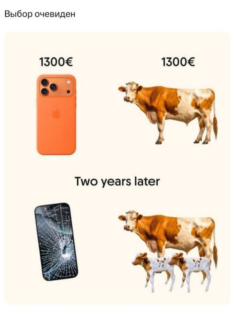 Выбор очевиден

1300€

1300€

Two years later