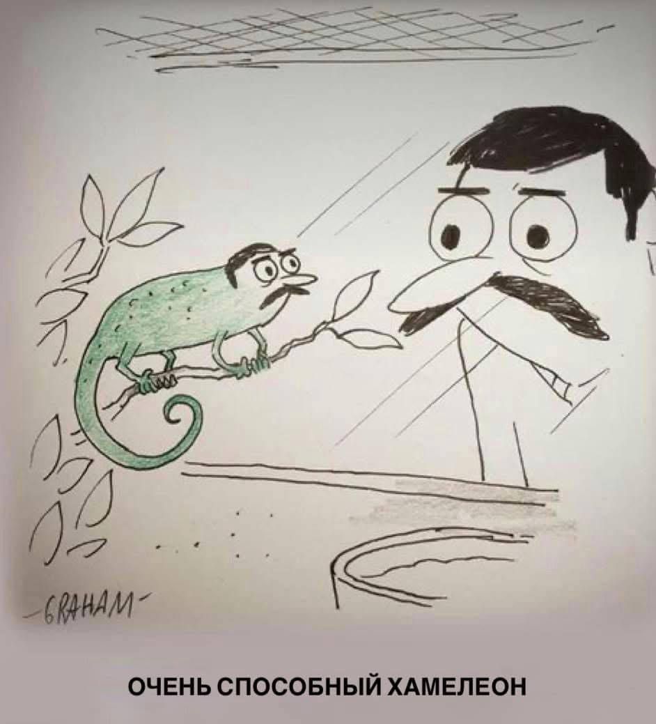 ОЧЕНЬ СПОСОБНЫЙ ХАМЕЛЕОН