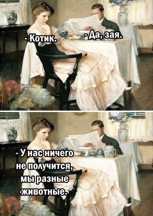 - Котик.
- Да, зайка.
- У нас ничего не получится, мы разные животные.