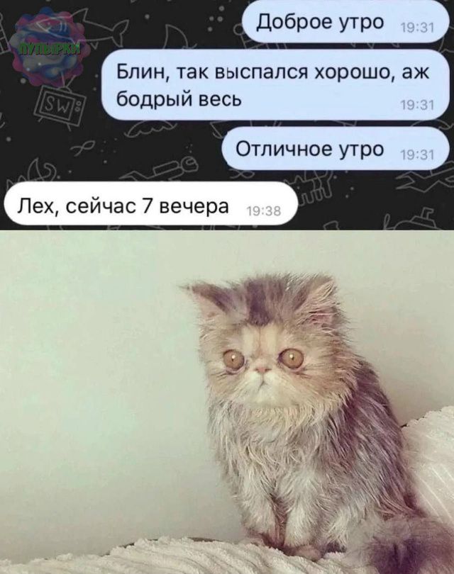 Доброе утро
Блин, так выспался хорошо, аж бодрый весь
Отличное утро
Лех, сейчас 7 вечера