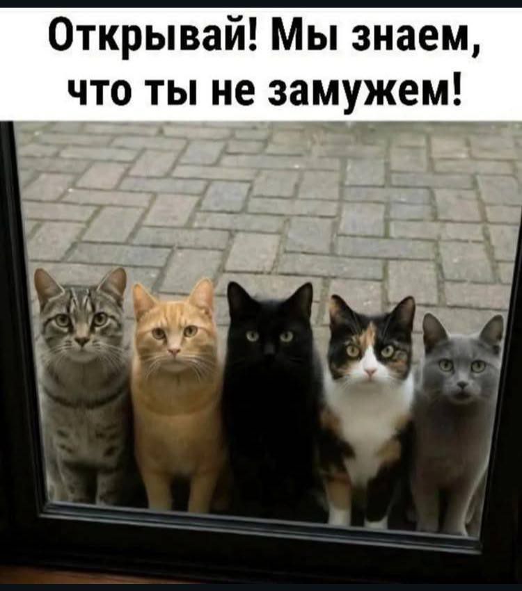 Открывай! Мы знаем, что ты не замужем!