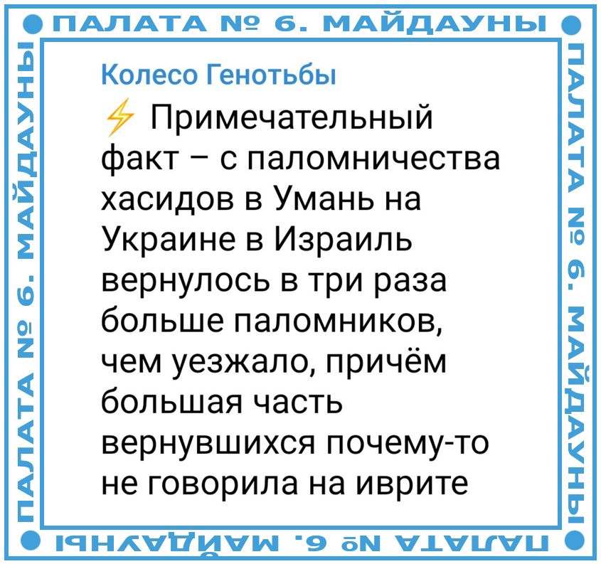 Колесо Генотьбы
⚡ Примечательный факт – с паломничества хасидов в Умань на Украине в Израиль вернулось в три раза больше паломников, чем уезжало, причём большая часть вернувшихся почему-то не говорила на иврите.