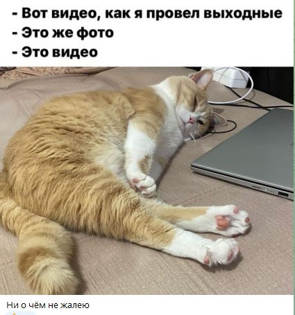 Вот видео, как я провел выходные
- Это же фото
- Это видео

Ни о чём не жалю