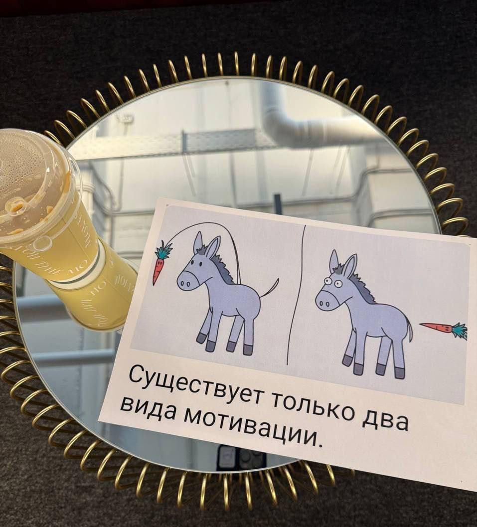 Существует только два вида мотивации.