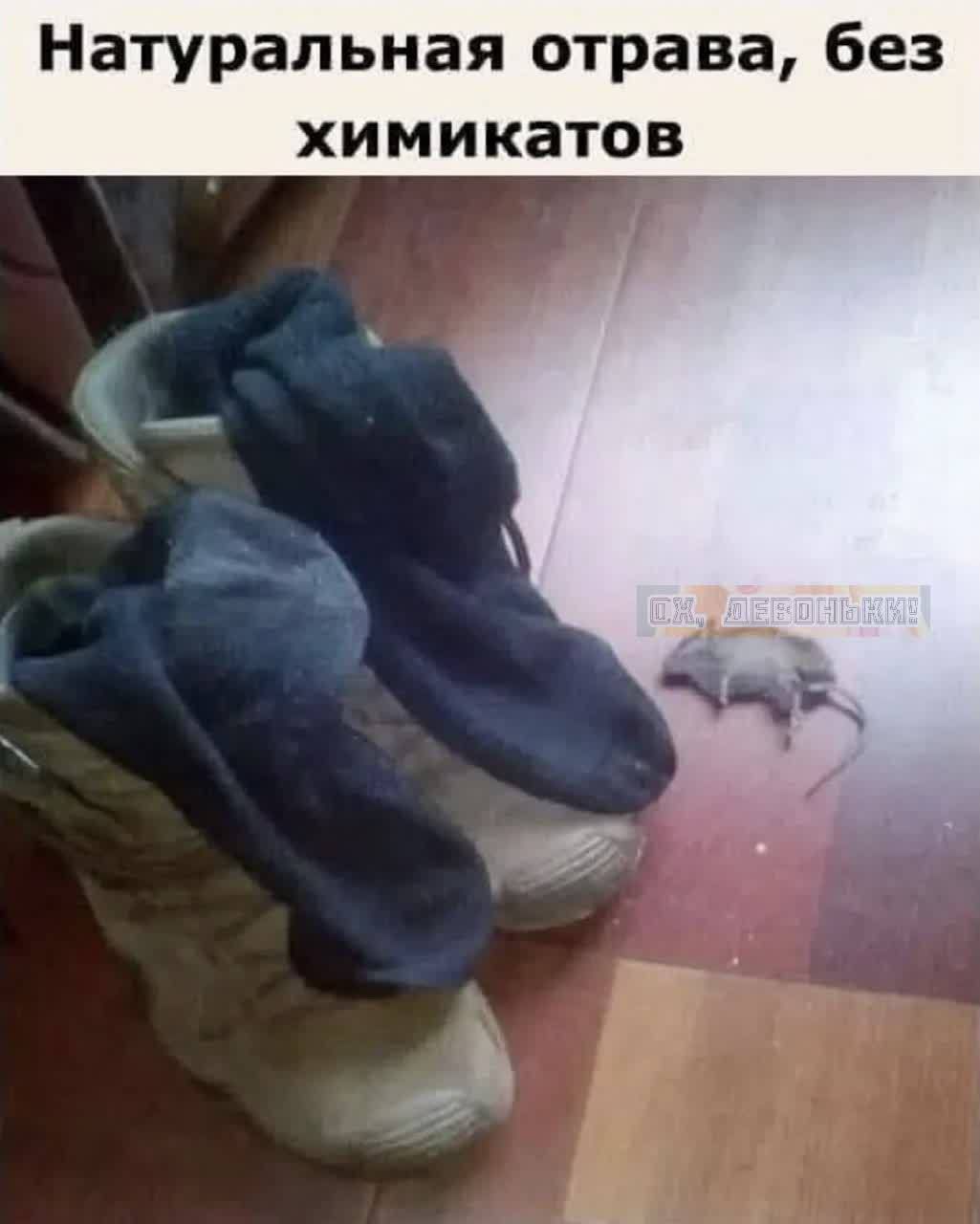 Натуральная отрава, без химикатов