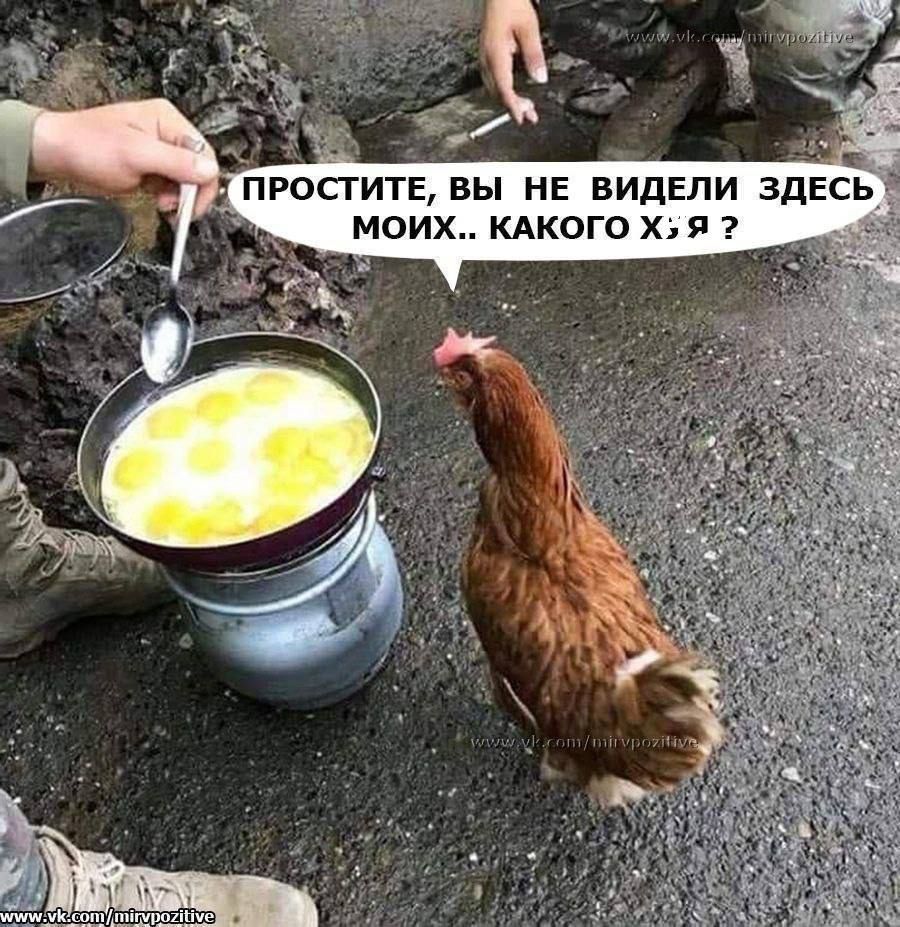 ПРОСТИТЕ, ВЫ НЕ ВИДЕЛИ ЗДЕСЬ МОИХ.. КАКОГО Х; Я ?