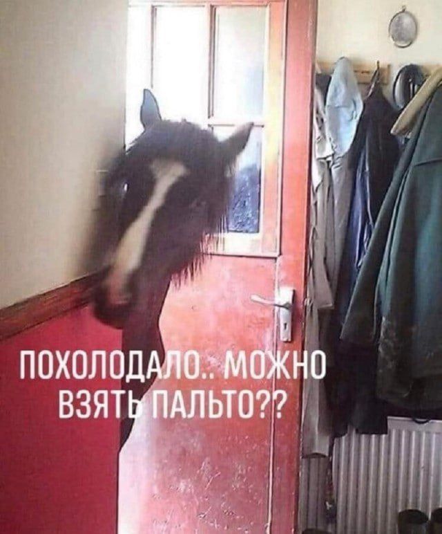 ПОХОЛОДАЛО.. МОЖНО ВЗЯТЬ ПАЛЬТО??