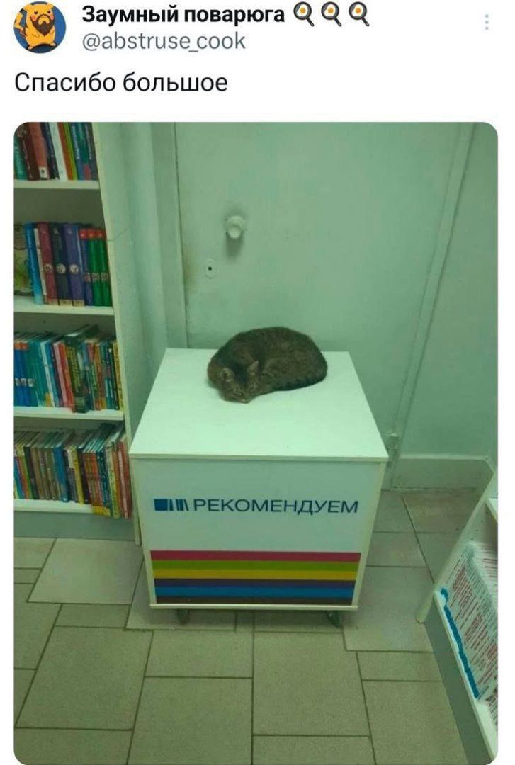 Спасибо большое