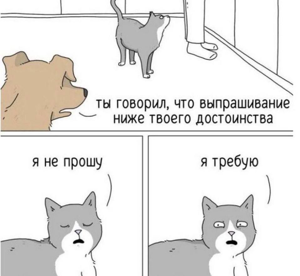 ты говорил, что выпрашивание ниже твоего достоинства
я не прошу
я требую