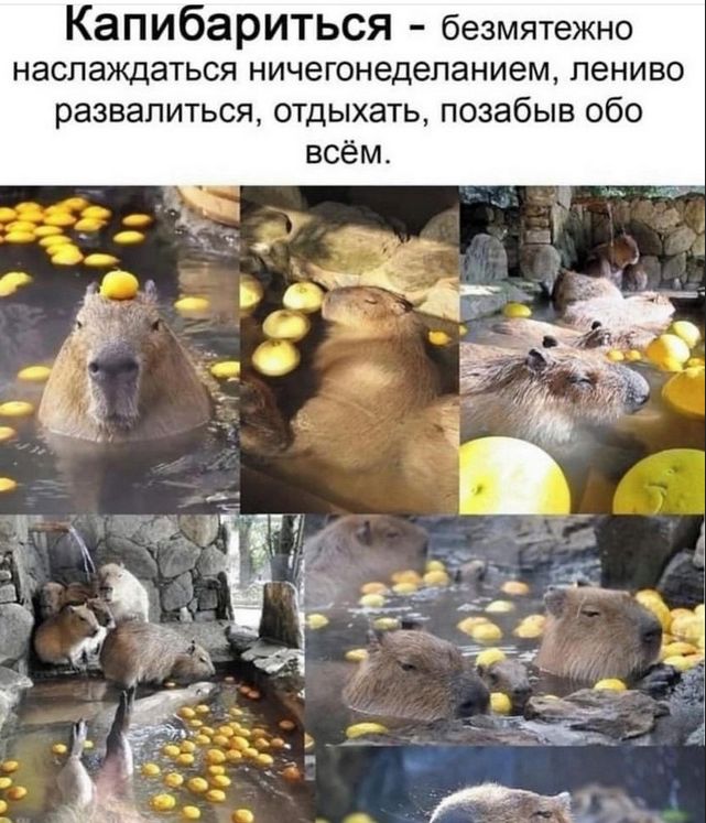 Капибариться - беззаветно наслаждаться ничегонеделанием, лениво развалиться, отдыхать, позабыв обо всем.