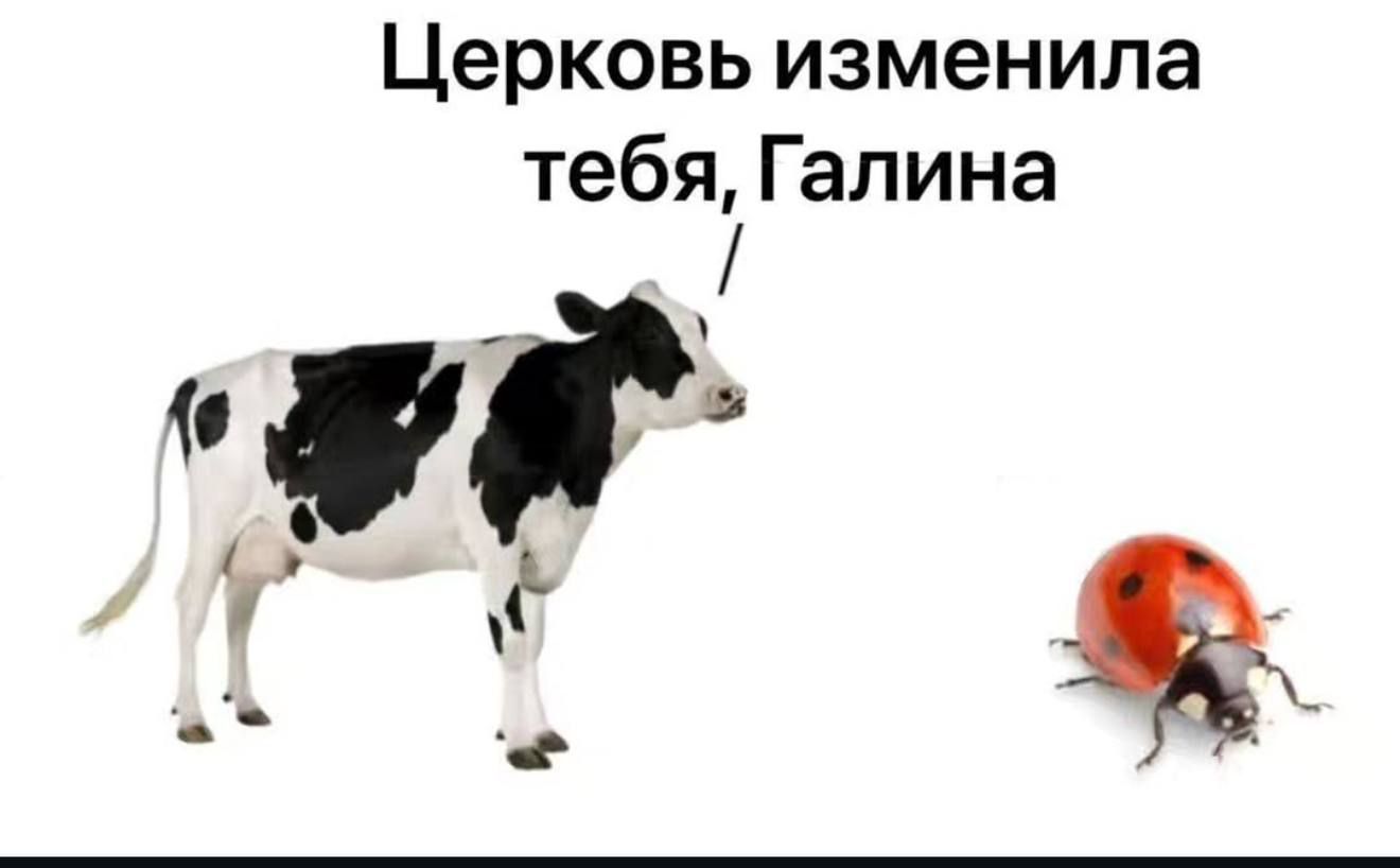 Церковь изменила тебя, Галина