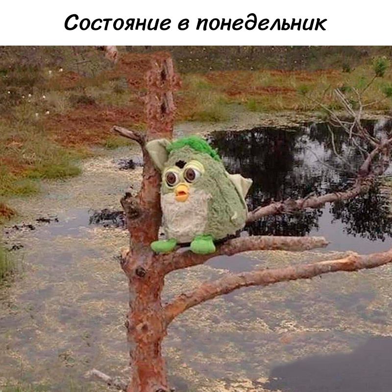Состояние в понедельник