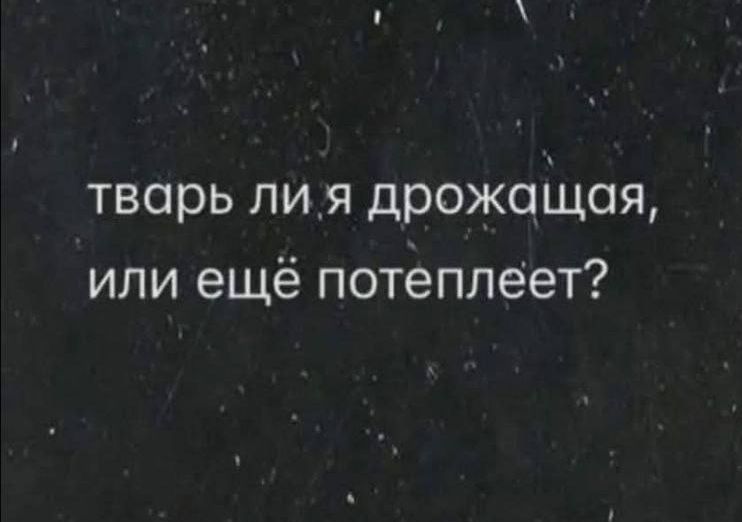 тварь ли я дрожащая, или ещё потеплеет?