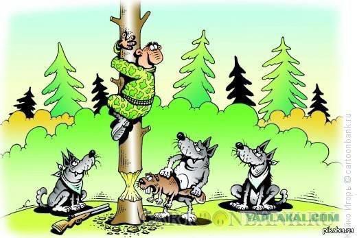 Нет читаемого текста на изображении.