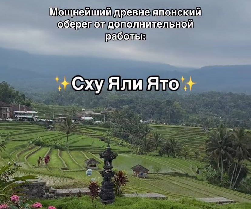 Мощнейший древне японский оберег от дополнительной работы:
✨Сху Яли Ято✨
