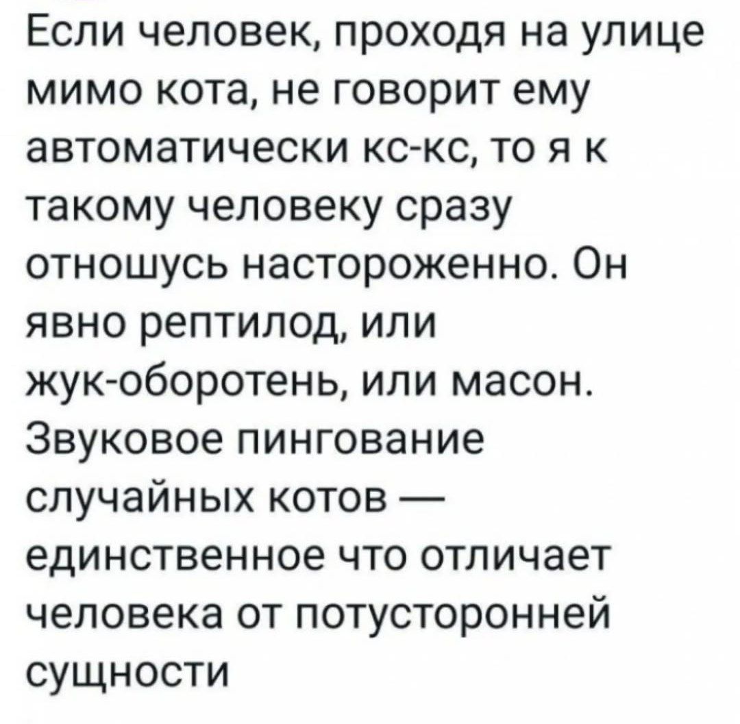 Если человек, проходя на улице мимо кота, не говорит ему автоматических кс-кс, то я к такому человеку сразу отношусь настороженно. Он явно рептилоид, или жук-оборотень, или масон. Звуковое пингование случайных котов — единственное что отличает человека от потусторонней сущности