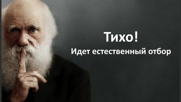 Тихо! Идет естественный отбор