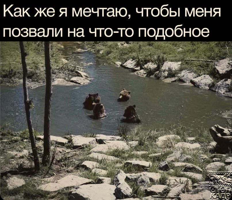 Как же я мечтаю, чтобы меня позвали на что-то подобное